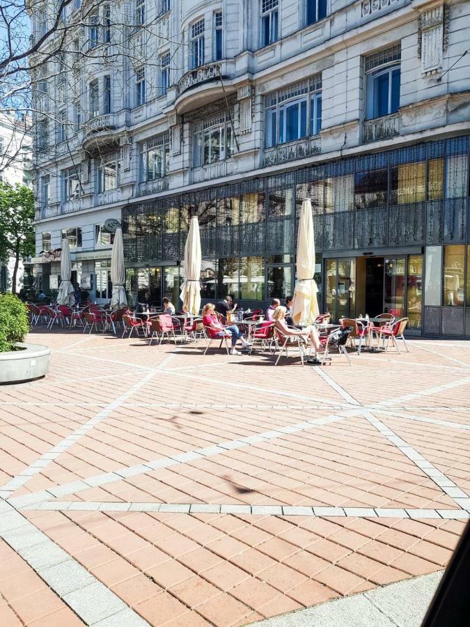 Sonniges Studio Heinzelmanngasse Apartment Viena Exterior foto